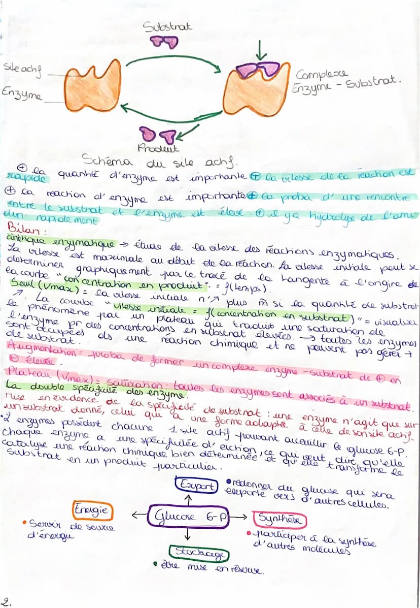 SUT_
Chap 6. Les enzymes, des biomolécules aux propriétés caralyny
Hydrolyse : une reachon chimique et enzymatique dans laquelle une
liaison