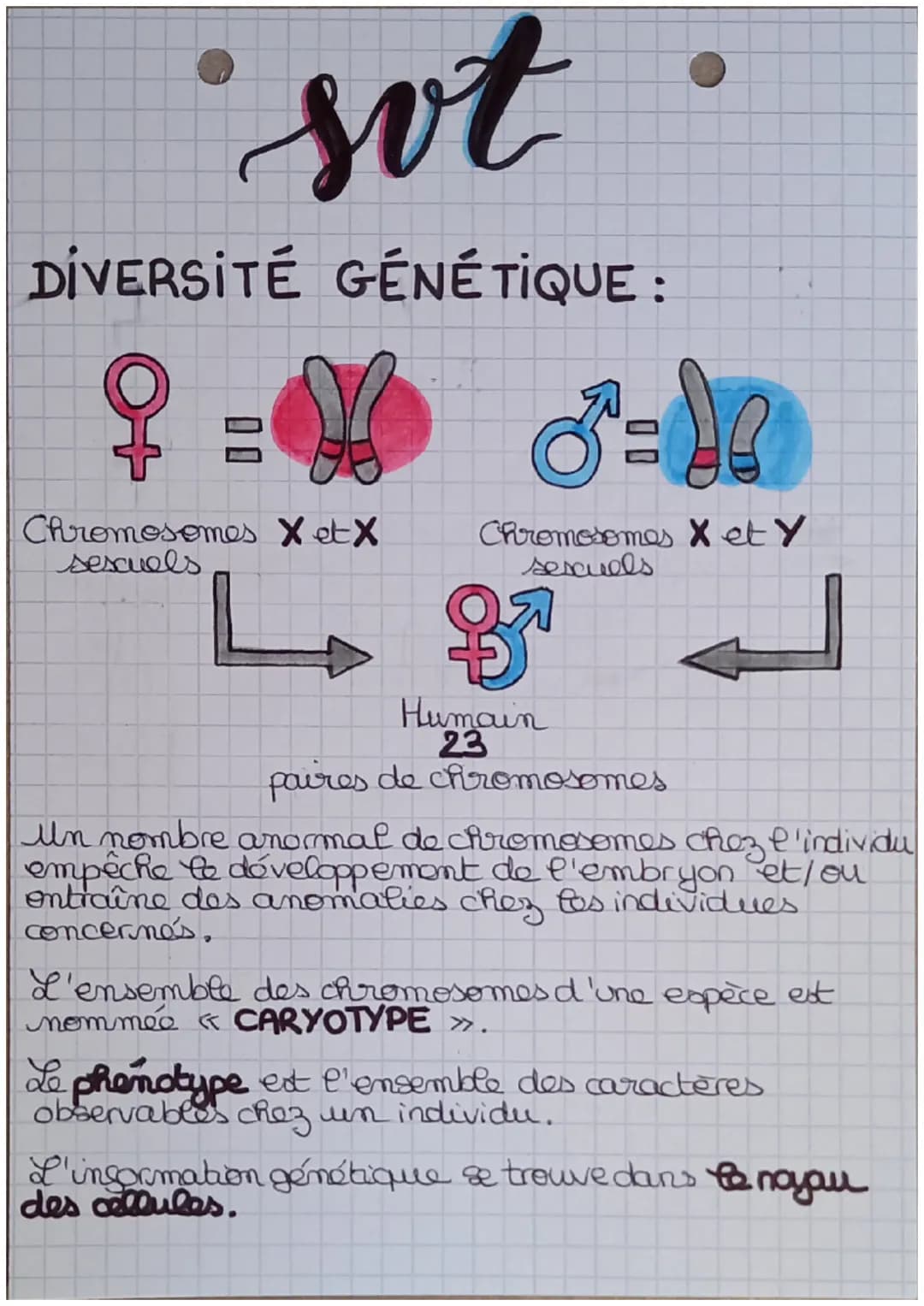 sot
DIVERSITÉ GÉNÉTIQUE :
q
Chromosomes X et X
sescuels
3=de
Chromosomes X et Y
sescuels
39
Humain
23
paires de chromosomes
un nombre anorma