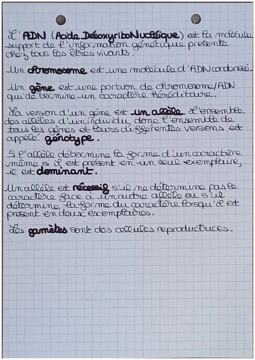 sot
DIVERSITÉ GÉNÉTIQUE :
q
Chromosomes X et X
sescuels
3=de
Chromosomes X et Y
sescuels
39
Humain
23
paires de chromosomes
un nombre anorma
