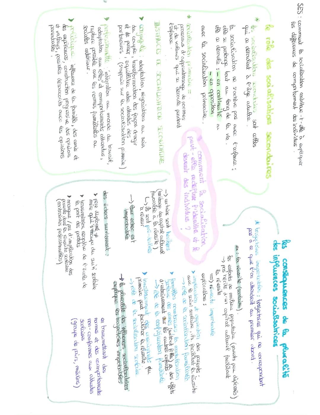 la socialisation - 1ere