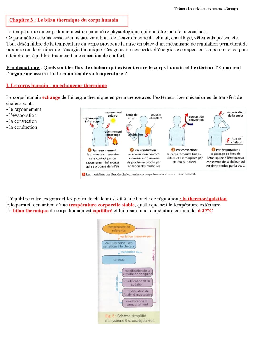 Le bilan thermique du corps humain - Exemples et explications simples