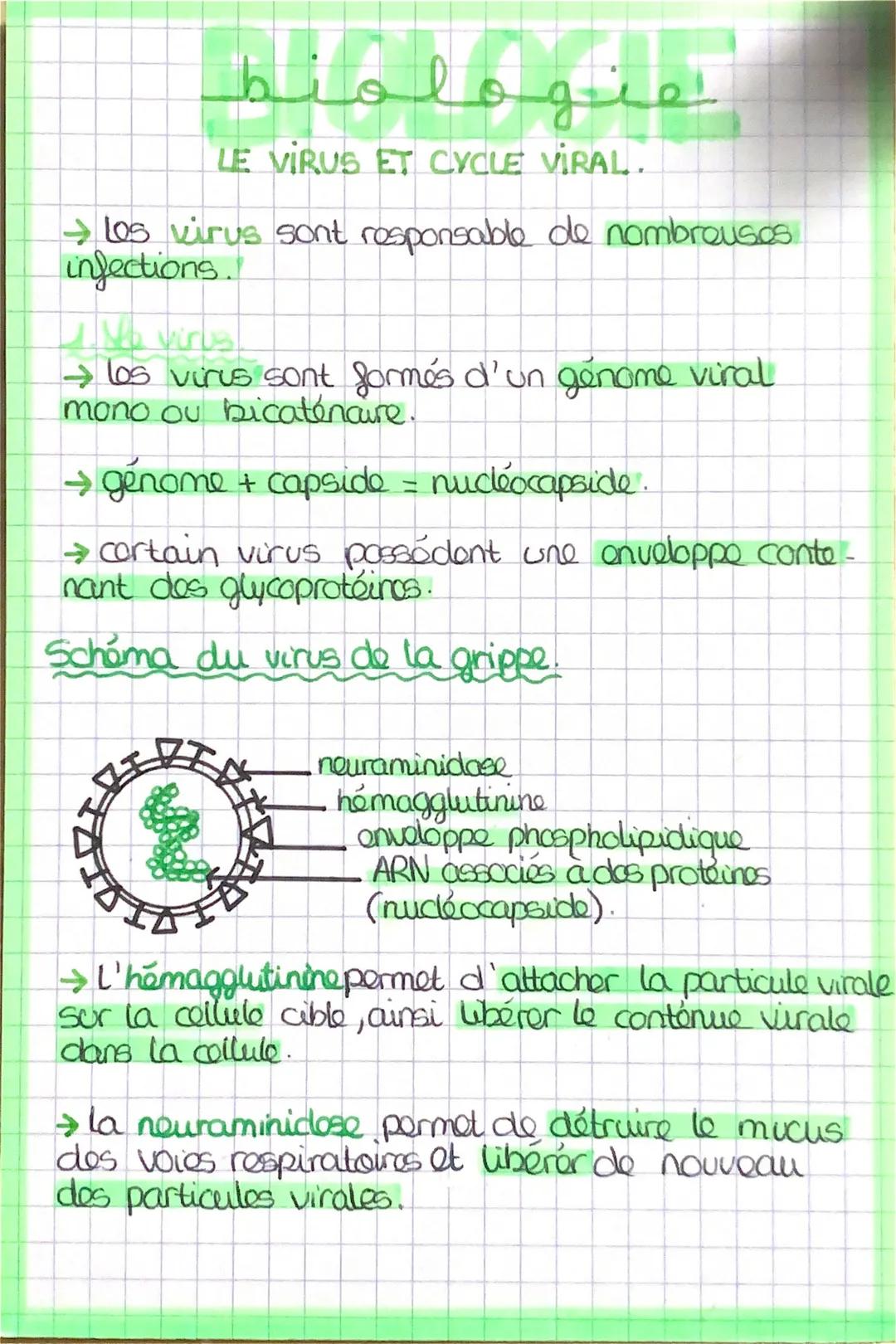 # biologie
LE VIRUS ET CYCLE VIRAL.

→ los virus sont responsable de nombreuses
infections.

→ los virus sont formés d'un genome viral
mono 