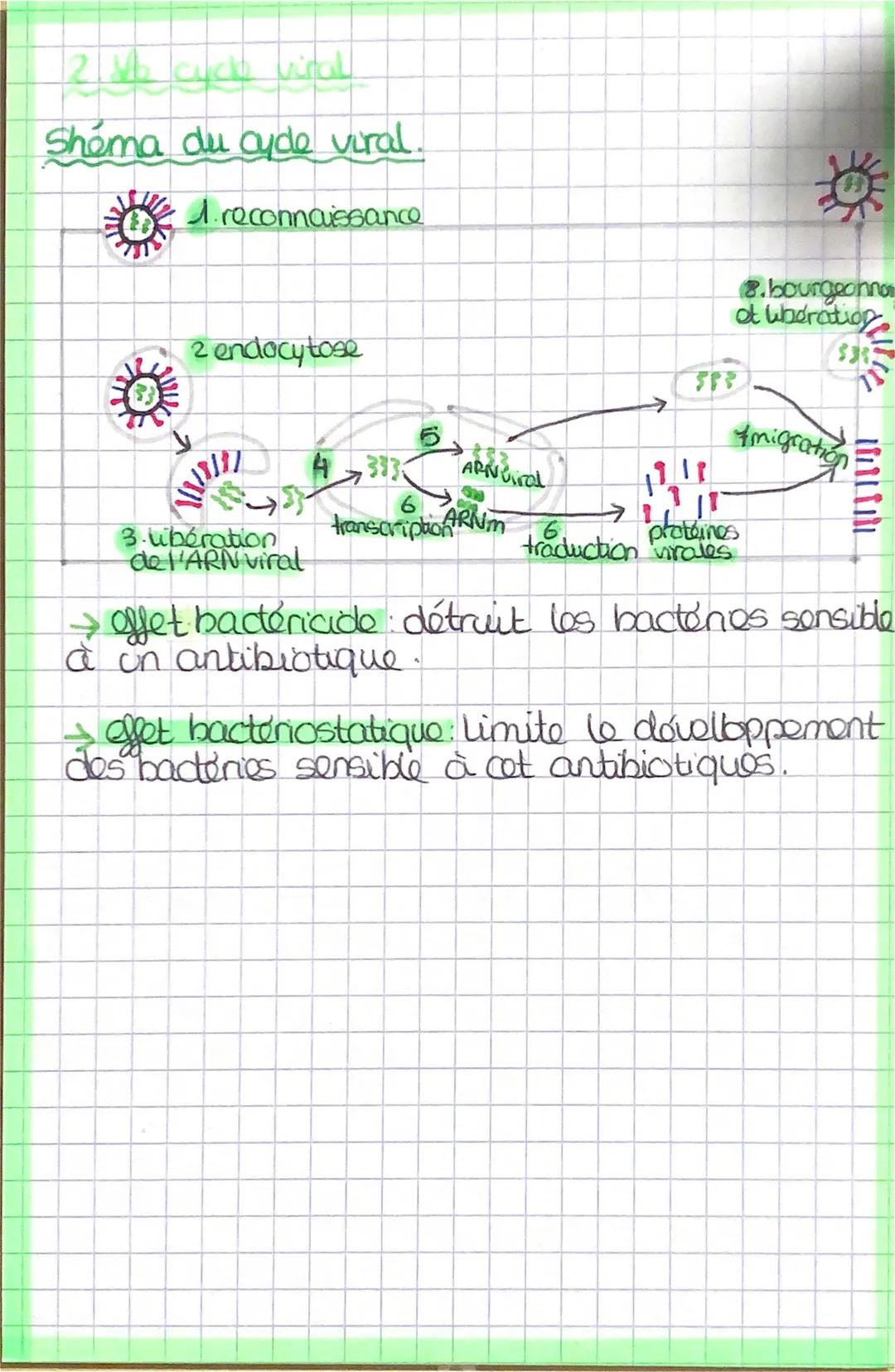 # biologie
LE VIRUS ET CYCLE VIRAL.

→ los virus sont responsable de nombreuses
infections.

→ los virus sont formés d'un genome viral
mono 