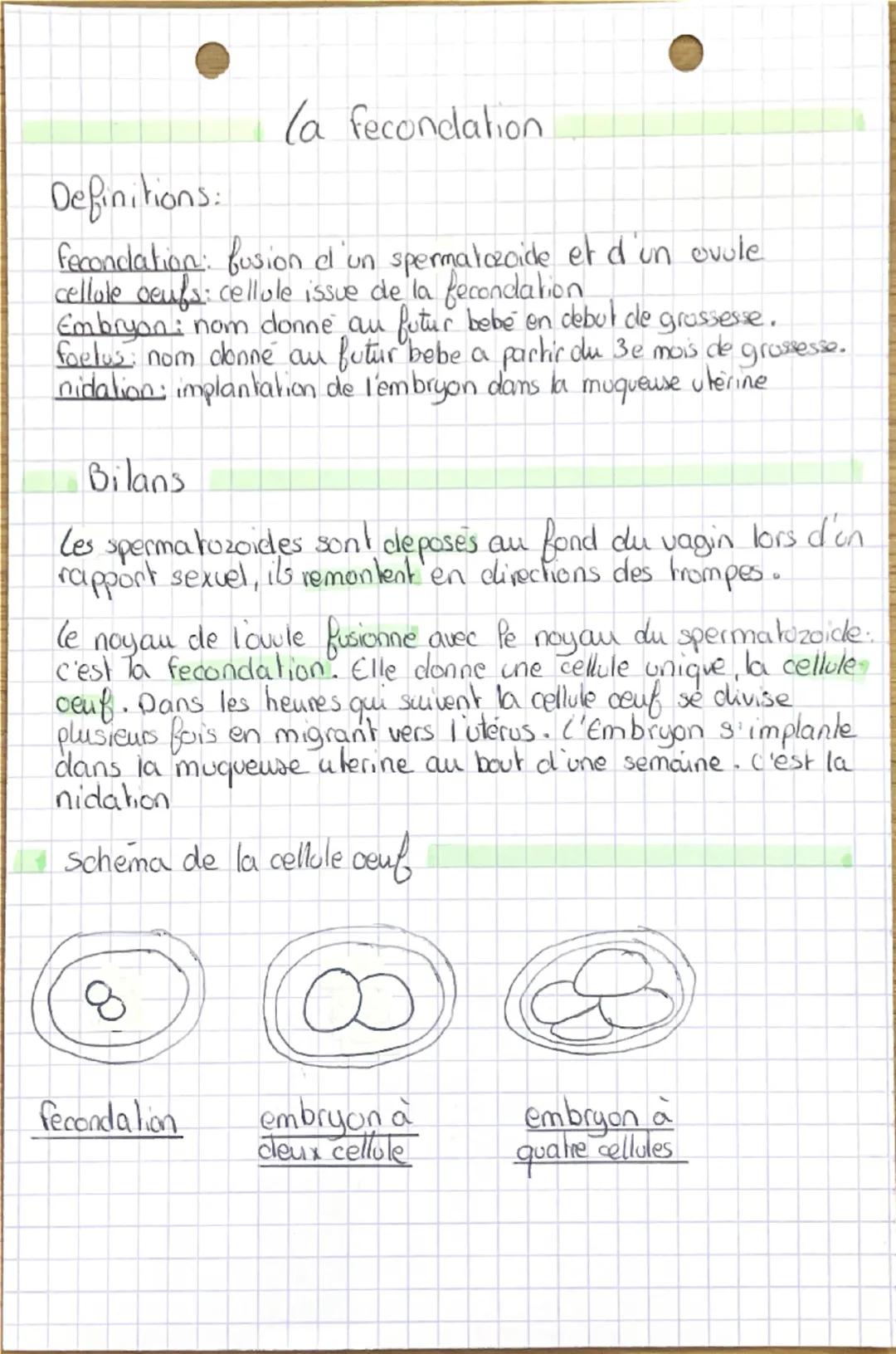 la fecondation

Definitions:
fecondation fusion el un spermatozoide et d'un ovule
cellule oeufs: cellule issue de la fecondation
Embryoni no