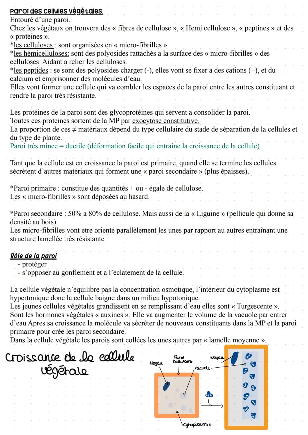 Paroi cellulaire et matrice extracellulaire
- les cellules bactérienne,
- les cellules de champignons
- algues
- champignons inférieurs
Poss