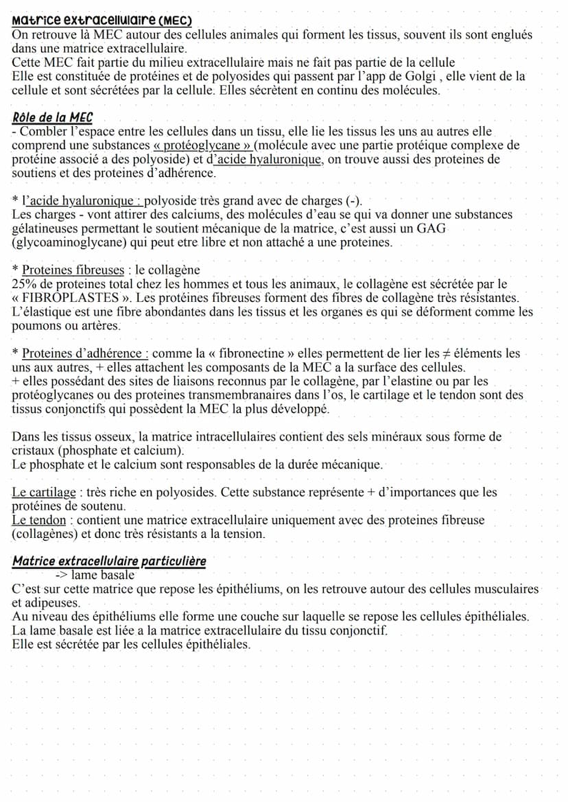 Paroi cellulaire et matrice extracellulaire
- les cellules bactérienne,
- les cellules de champignons
- algues
- champignons inférieurs
Poss