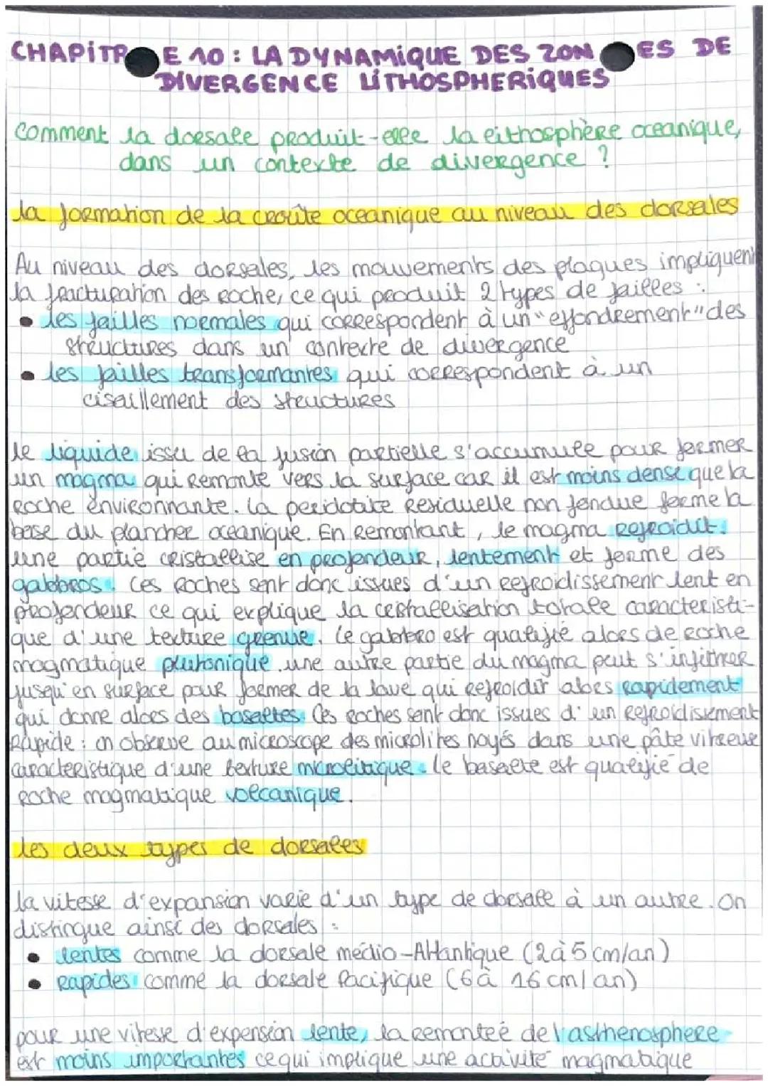 Découvre la formation de la croûte océanique et la vitesse d'expansion des dorsales océaniques