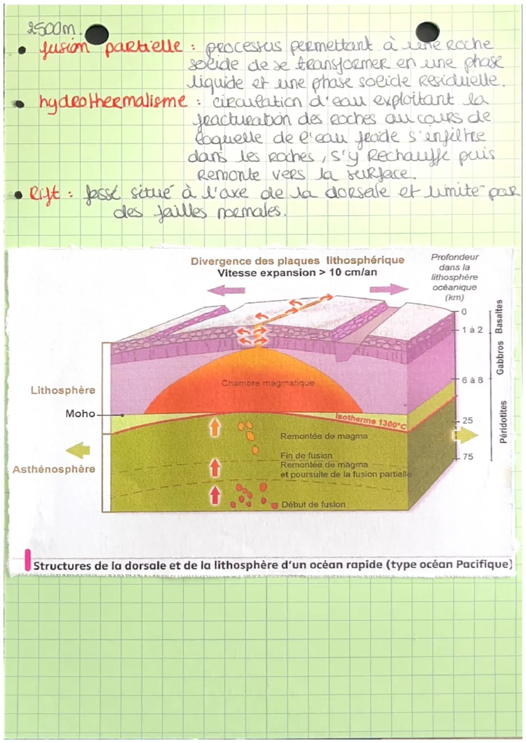 CHAPITRE 10 : LA DYNAMIQUE DES ZONES DE
DIVERGENCE LITHOSPHERIQUES
Comment la doesale produit-elle la eithosphère oceanique,
dans un context