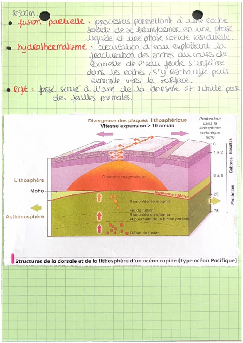CHAPITRE 10 : LA DYNAMIQUE DES ZONES DE
DIVERGENCE LITHOSPHERIQUES
Comment la doesale produit-elle la eithosphère oceanique,
dans un context