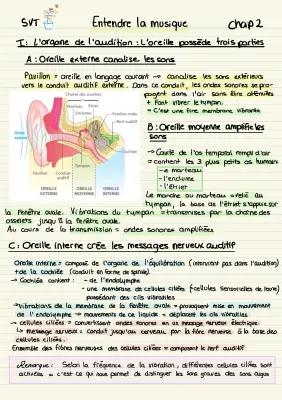 Know ENSEIGNEMENT SCIENTIFIQUE SVT- Le son  thumbnail