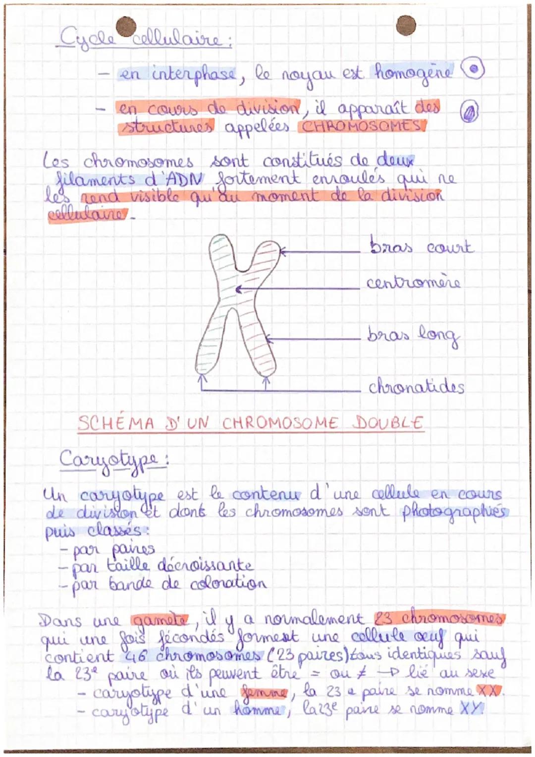 SVT
Un caractère individual est un caractère
propre à un individu précis et qui permet
de le reconnaître.
Un caractère hériditaire est un ca