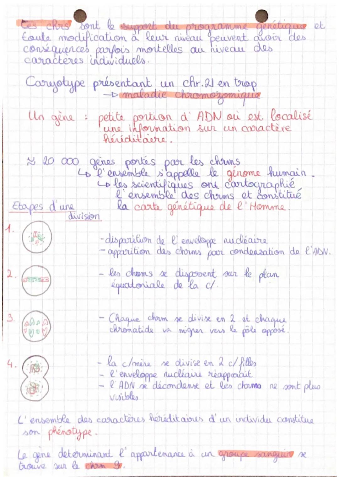 SVT
Un caractère individual est un caractère
propre à un individu précis et qui permet
de le reconnaître.
Un caractère hériditaire est un ca