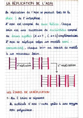 Know Réplication ADN, mutation ADN et variabilité génétique  thumbnail