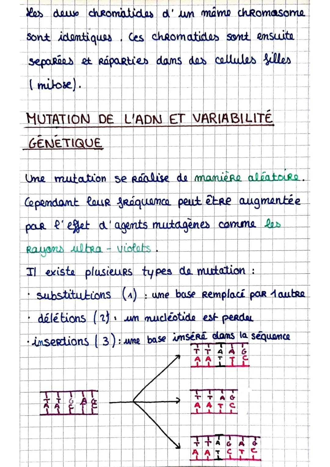 LA REPLICATION DE L'ADN
La Replication de l'ADN se produit lors de la
phase $ de l'interphase.
L'ADN est composé de devxc hélices. Chaque
br