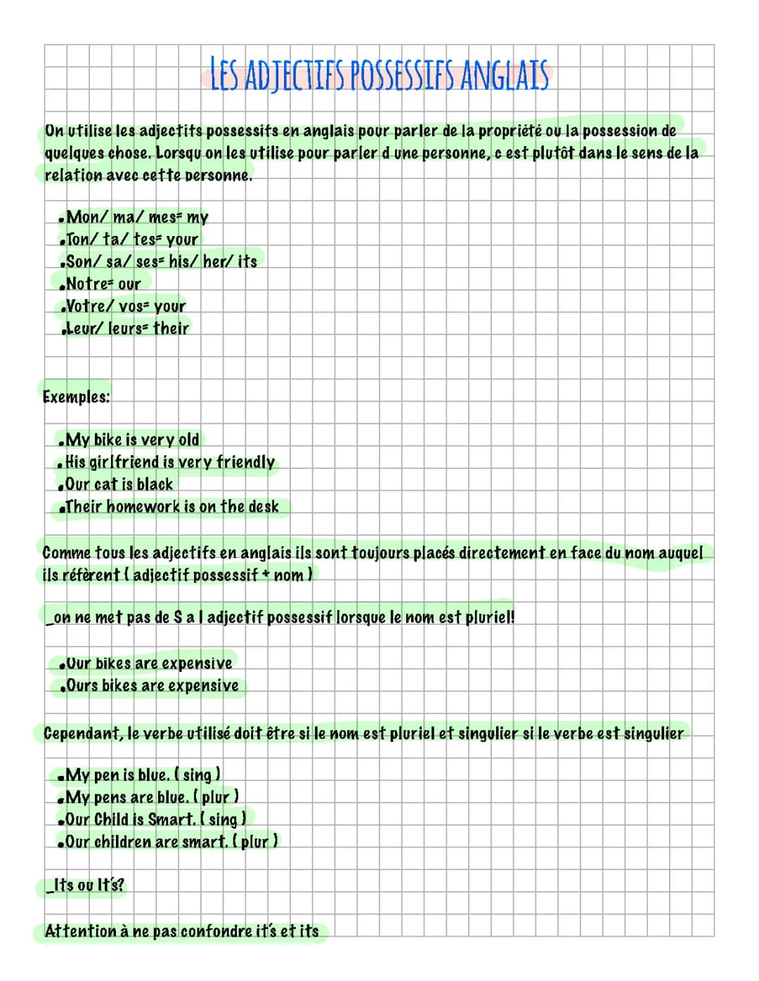 adjectif possésif  en anglais