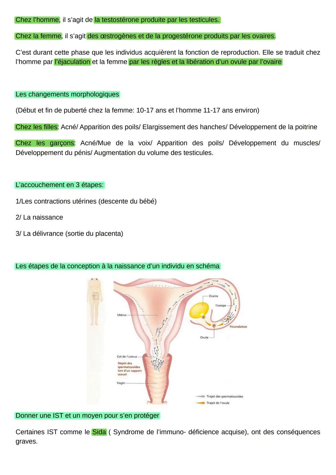 --- OCR Start ---
Mots clés:
SVT
-Reproduction et comportement sexuel responsables-
Caractères sexuels primaires: Ils correspondent aux orga