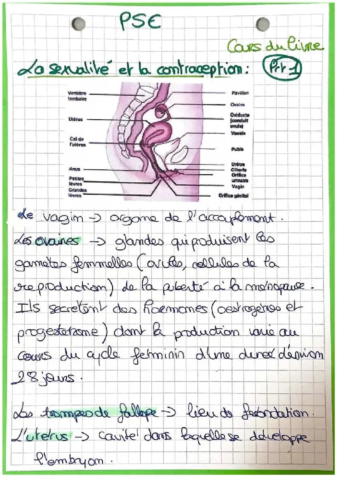 La sexualité et la contraception 