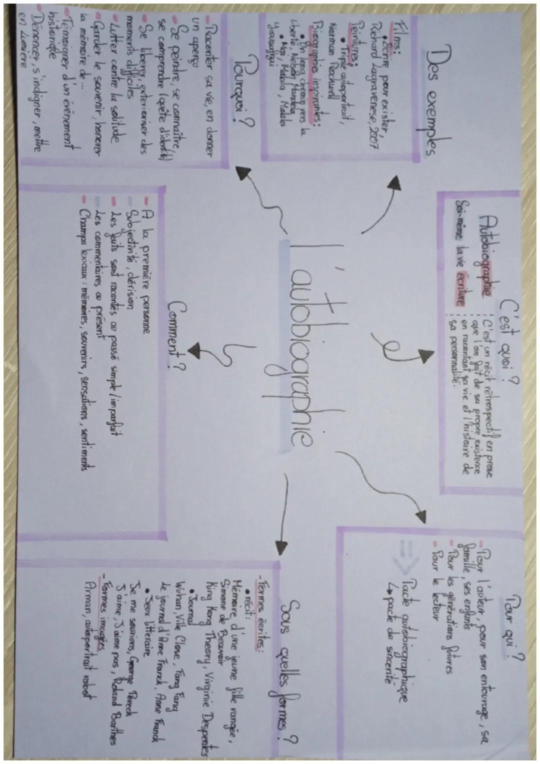 Des exemples
Films:
•Ecrire pour exister,
Richard Lagravenese, 2007
Peintures
Triple autoportrait,
Norman Rockwell
Biographies inspirantes:

