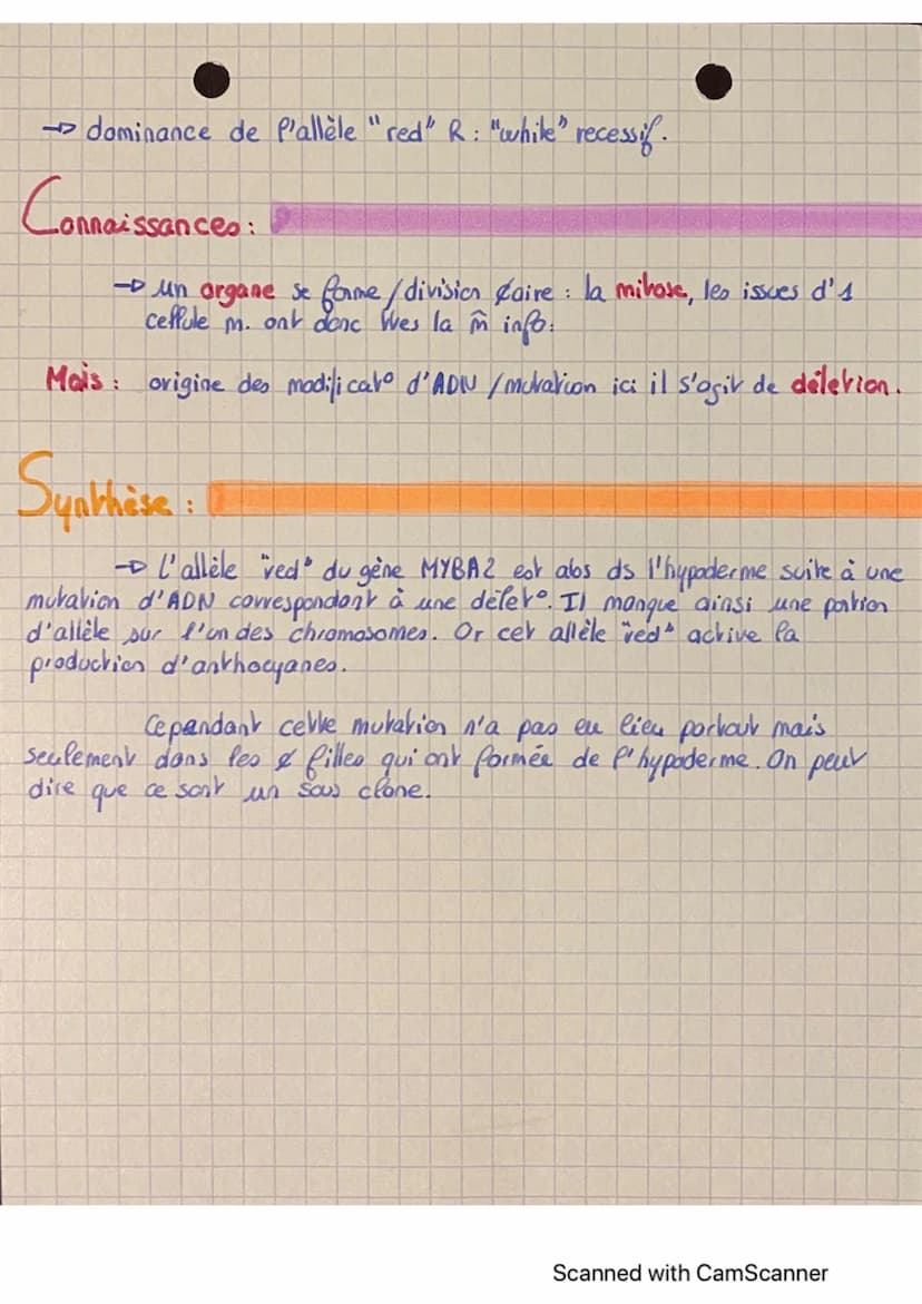 SNT
P stabilité génétique et evolution
Problématique : Quelles sont les caractéristiques à l'écheffe du phéndype
ek du génotype distinguant 