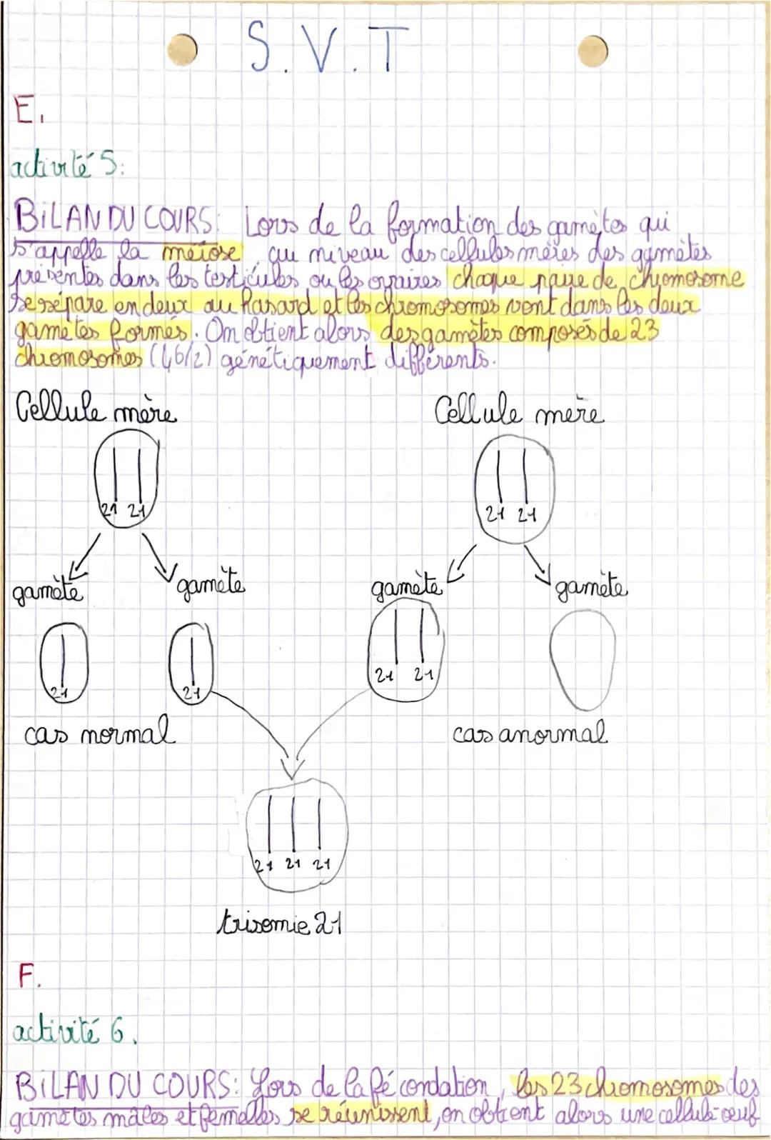 E.
activité 5:
S.V.T
BILANDU COURS Lors de la formation des gametes qui
s'appelle la metose, que que miveau des cellules mères des gemétés
p
