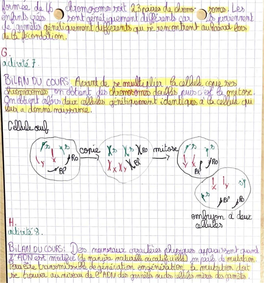 E.
activité 5:
S.V.T
BILANDU COURS Lors de la formation des gametes qui
s'appelle la metose, que que miveau des cellules mères des gemétés
p