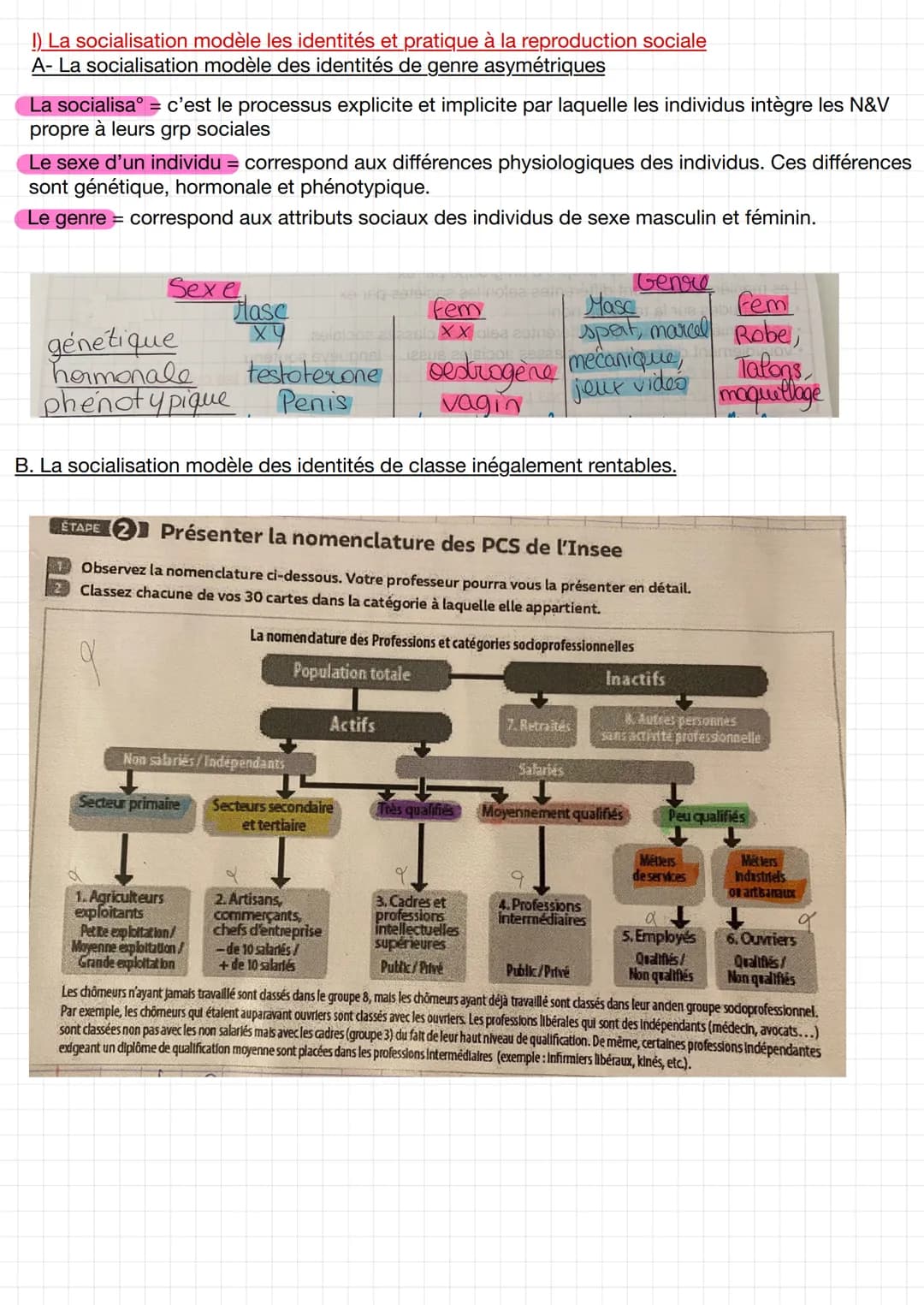 
<p>La socialisation de genre est un processus explicite et implicite par lequel les individus intègrent les normes et valeurs propres à leu