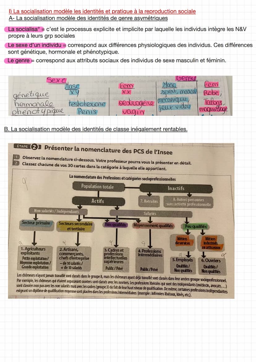
<p>La socialisation de genre est un processus explicite et implicite par lequel les individus intègrent les normes et valeurs propres à leu