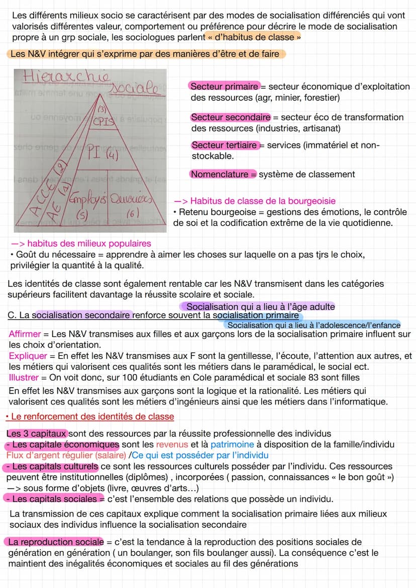 
<p>La socialisation de genre est un processus explicite et implicite par lequel les individus intègrent les normes et valeurs propres à leu