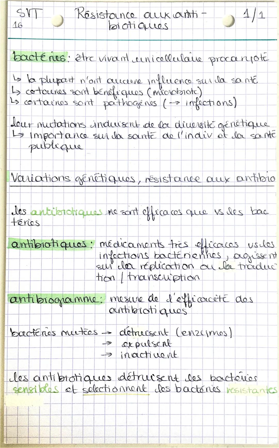 SIT
16
Résistance aux anti-
biotiques
-
1/1
bactéries: être vivant unicellulave procarjote
↳s la plupart n'ont aucune influence sur la santé