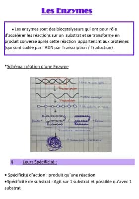 Know Enzyme  thumbnail