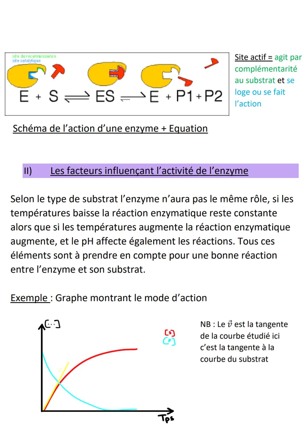 Les Enzymes
• Les enzymes sont des biocatalyseurs qui ont pour rôle
d'accélérer les réactions sur un substrat et se transforme en
produit co