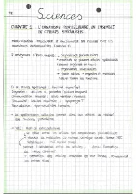 Know SVT : L’ORGANISME PLURICELLULAIRES, UN ENSEMBLE DE CELLULES SPÉCIALISÉES thumbnail