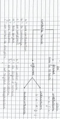 Know Schéma contrôle social thumbnail