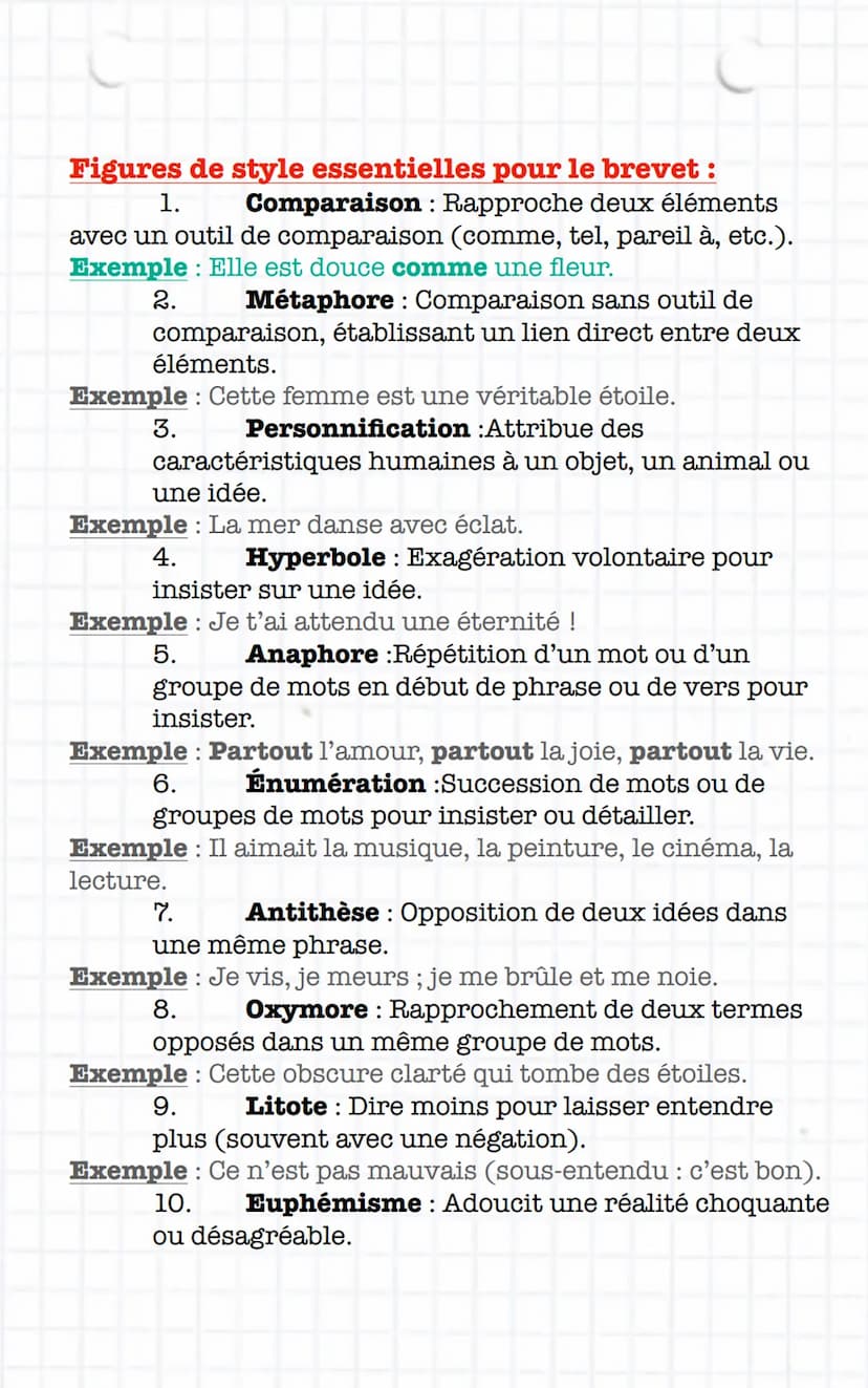 MEMO BREVET
Français
• Le champ lexical d'un mot est l'ensemble des mots qui se
rapportent à un même thème.
Champ lexical du feu : brûler, a