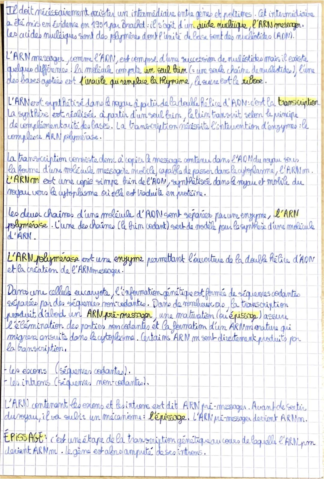 SVT
III la réplication de ladim.
Au cours de la phase 5 de l'interphare, les deux brims complémentaire d'une
molécule d'ADN s'écartent par r
