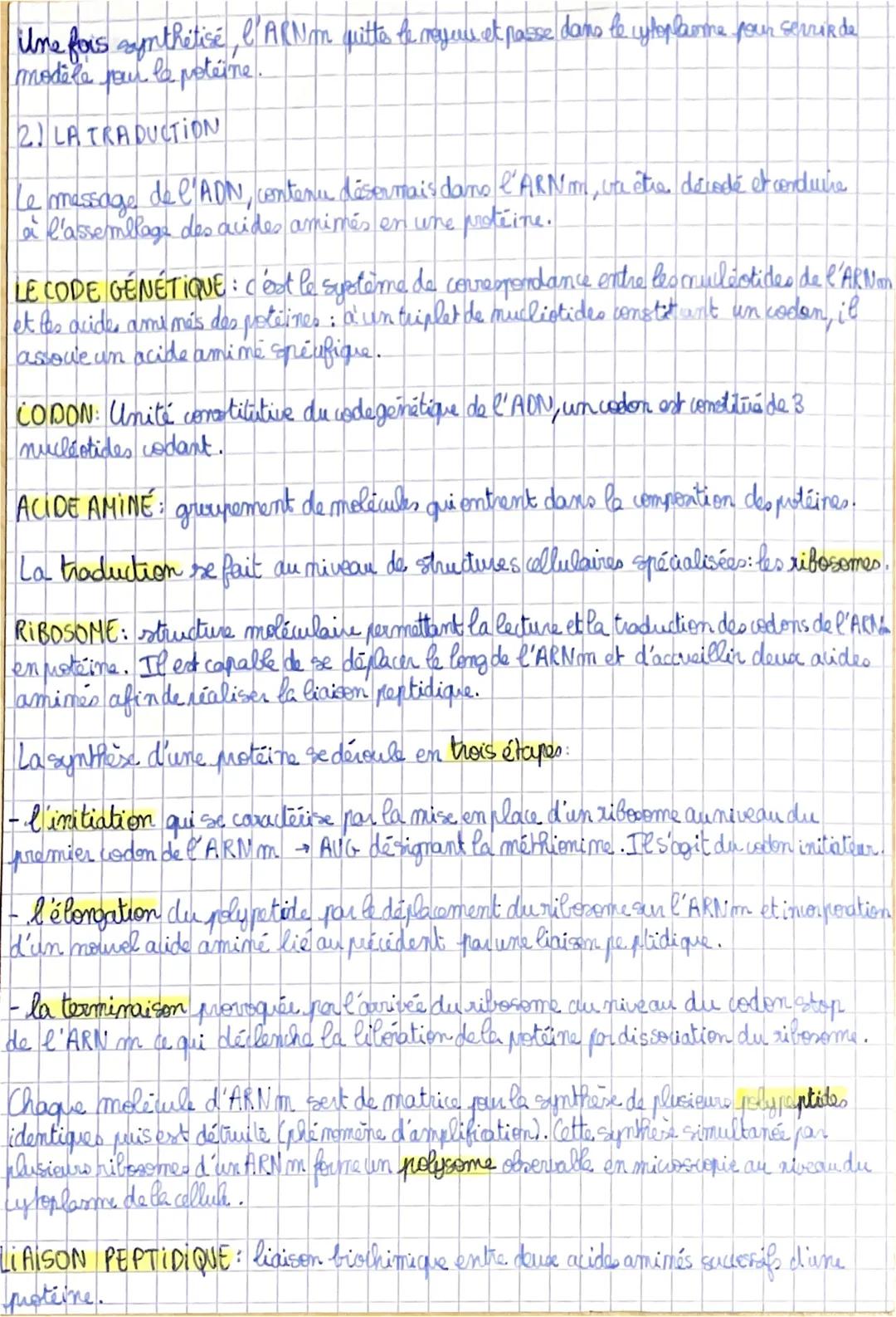 SVT
III la réplication de ladim.
Au cours de la phase 5 de l'interphare, les deux brims complémentaire d'une
molécule d'ADN s'écartent par r