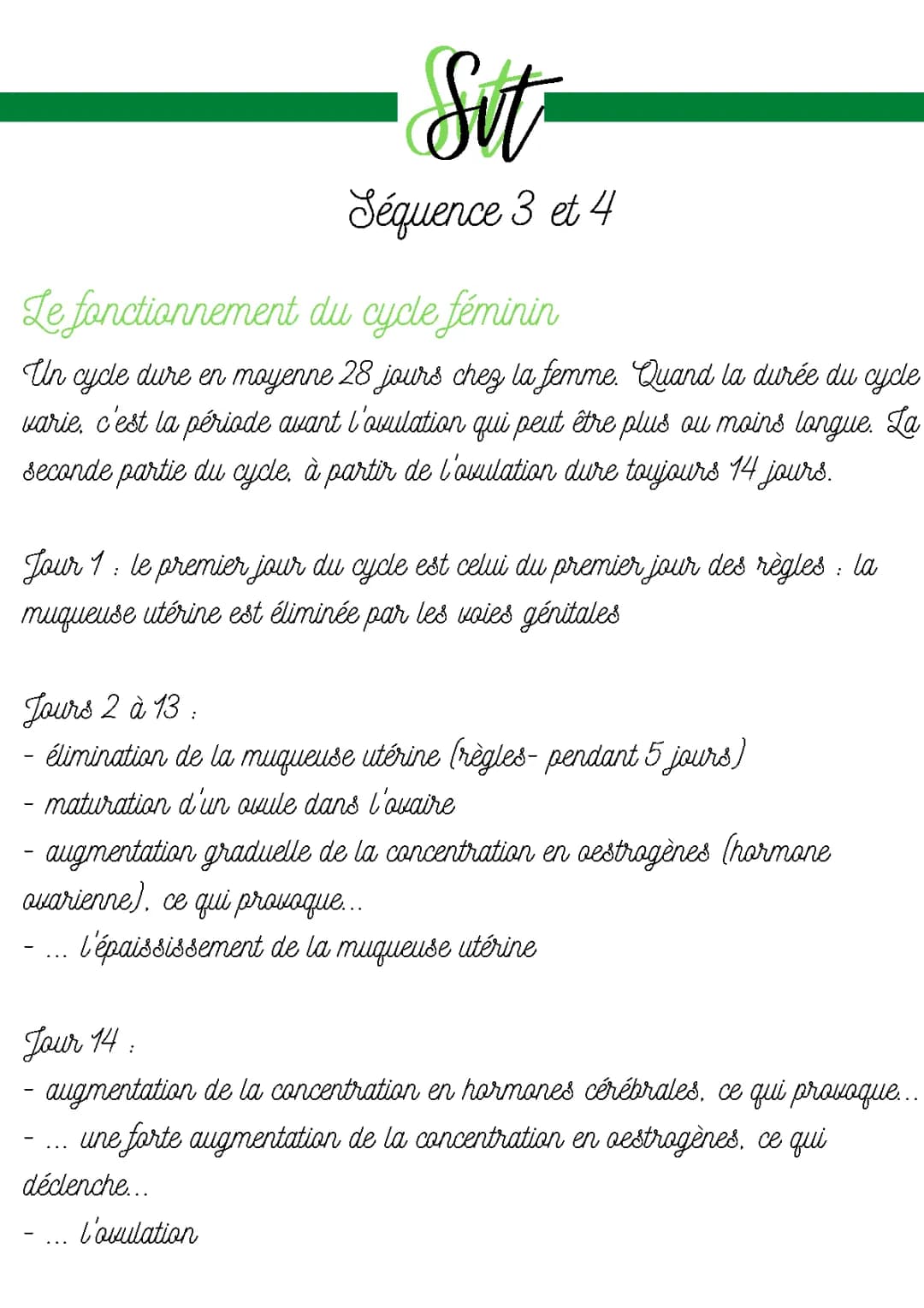 Comprendre le Cycle Menstruel : Les 4 Phases et les Jours Dangereux