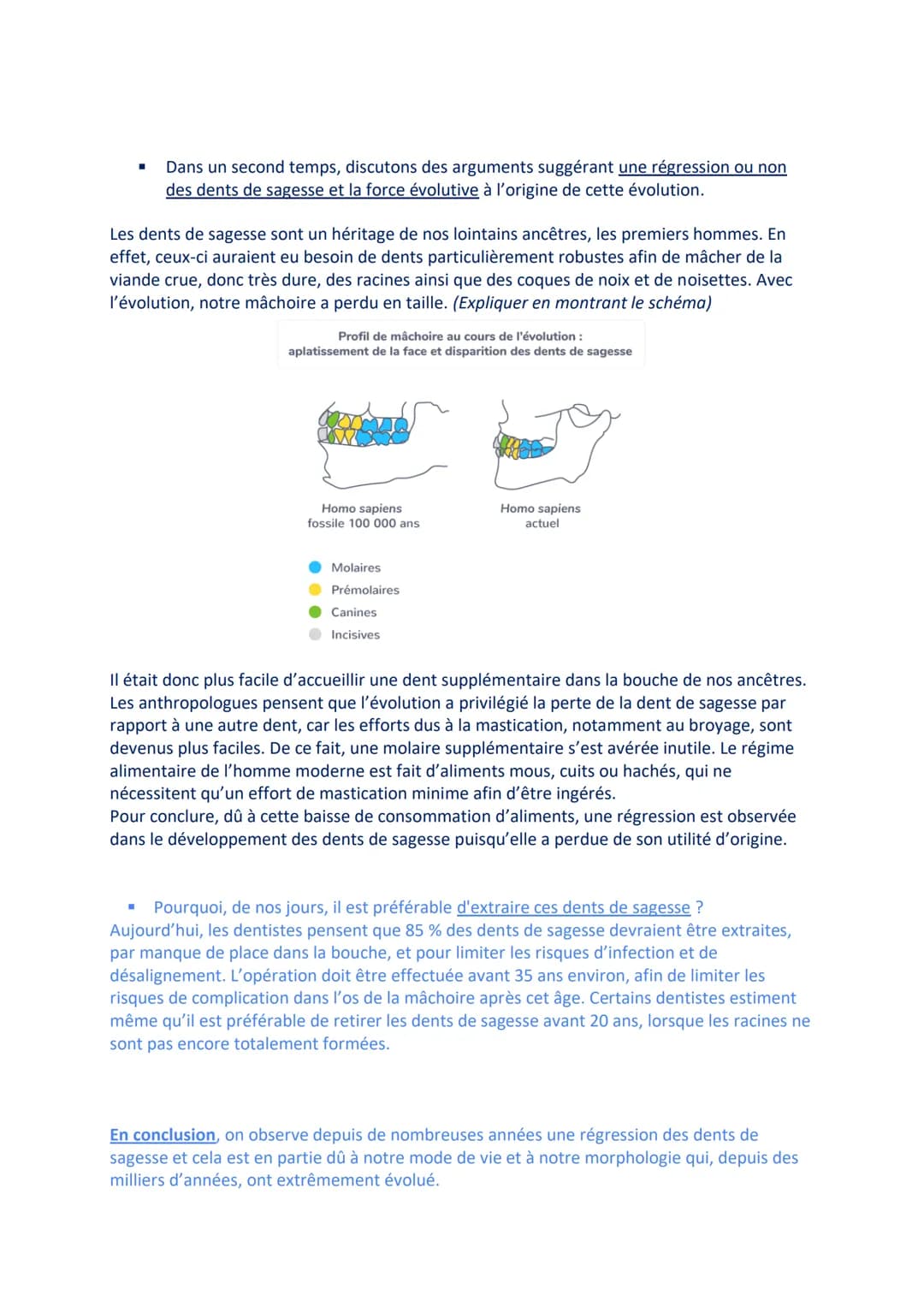 Aujourd'hui nous allons évoquer le sujet des dents de sagesse et nous questionner sur une
probable régression de celles-ci.
LES DENTS DE SAG