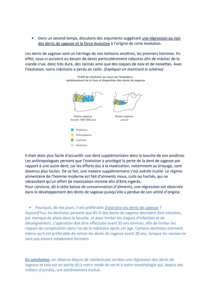 Aujourd'hui nous allons évoquer le sujet des dents de sagesse et nous questionner sur une
probable régression de celles-ci.
LES DENTS DE SAG