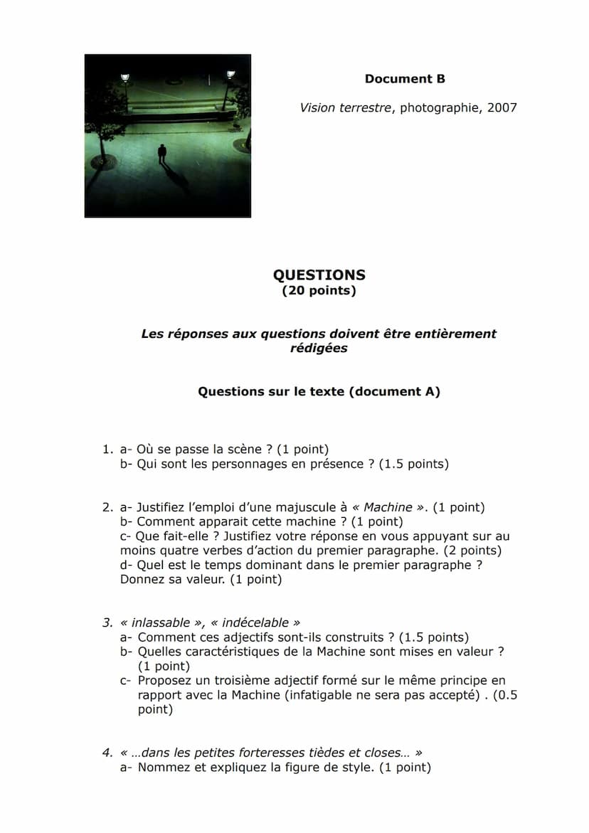 Brevet blanc de français
mars 2017 5
10
15
20
25
30
35
PREMIÈRE PARTIE
Document A
Les Villes
La Machine rôdait, inlassable¹. Le vent inclina