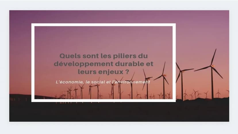 Cuisine
Le
Développement
Durable Qu'est ce que le
développement
durable ?
Croissance qui répond aux
besoins du présent en
intégrant des cont