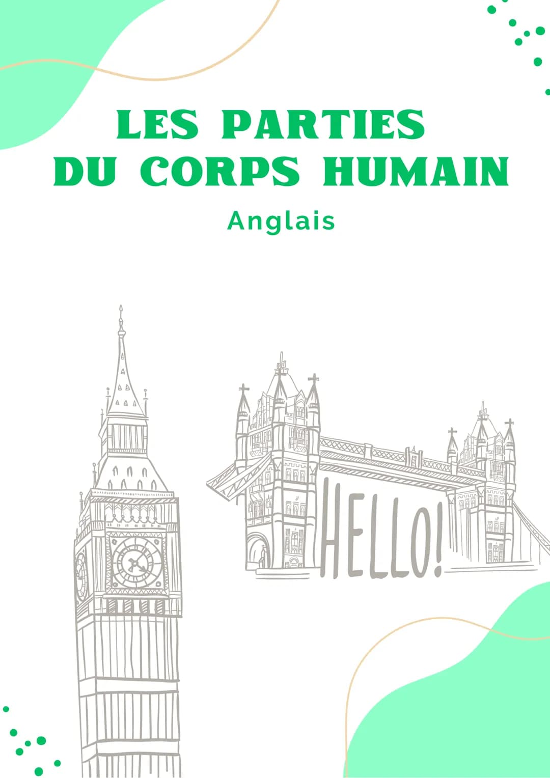 LES PARTIES
DU CORPS HUMAIN
AAA
^nn
Anglais
HELLO! body
(le corps)
O
eyes
(les yeux)
amrs
(les bras)
The human body
legs
(les jambes)
head
(