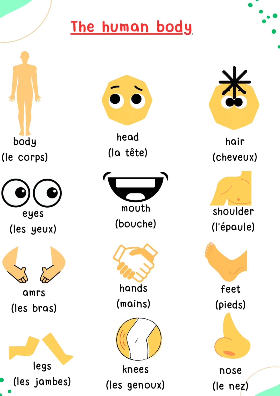 LES PARTIES
DU CORPS HUMAIN
AAA
^nn
Anglais
HELLO! body
(le corps)
O
eyes
(les yeux)
amrs
(les bras)
The human body
legs
(les jambes)
head
(