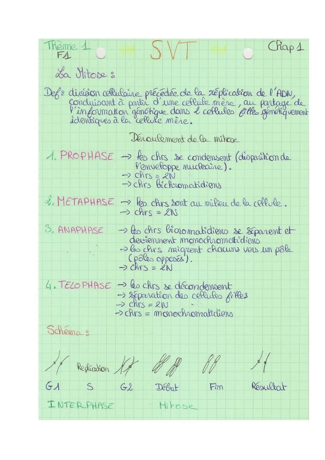 Theme 1
FA
SVT
Def& division cellulaire précédée de la réplication de l'ADN,
conduisant à partir d'une ceflute mère, au partage de
l'informa