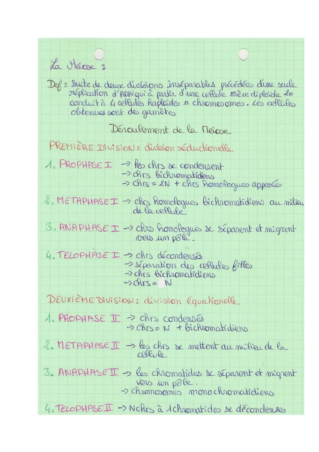 Theme 1
FA
SVT
Def& division cellulaire précédée de la réplication de l'ADN,
conduisant à partir d'une ceflute mère, au partage de
l'informa
