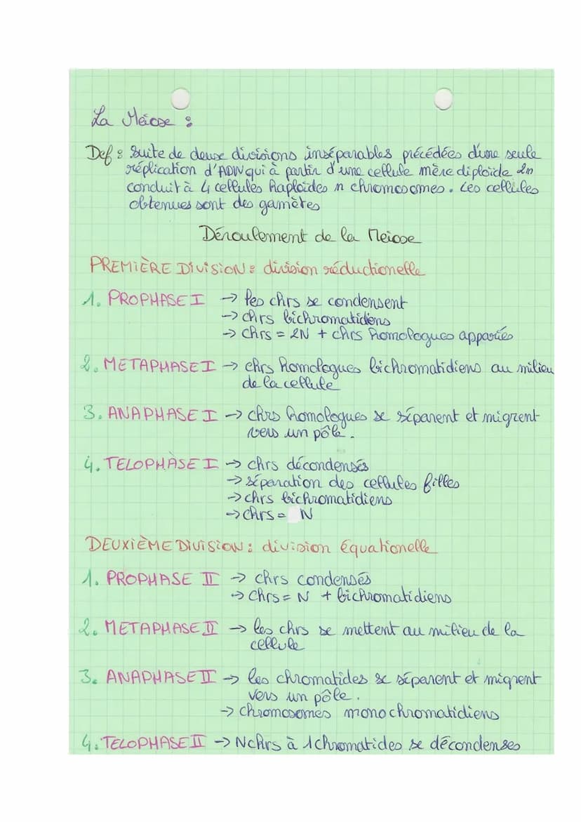 Theme 1
FA
SVT
Def& division cellulaire précédée de la réplication de l'ADN,
conduisant à partir d'une ceflute mère, au partage de
l'informa