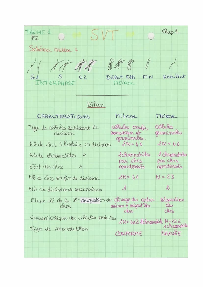 Theme 1
FA
SVT
Def& division cellulaire précédée de la réplication de l'ADN,
conduisant à partir d'une ceflute mère, au partage de
l'informa