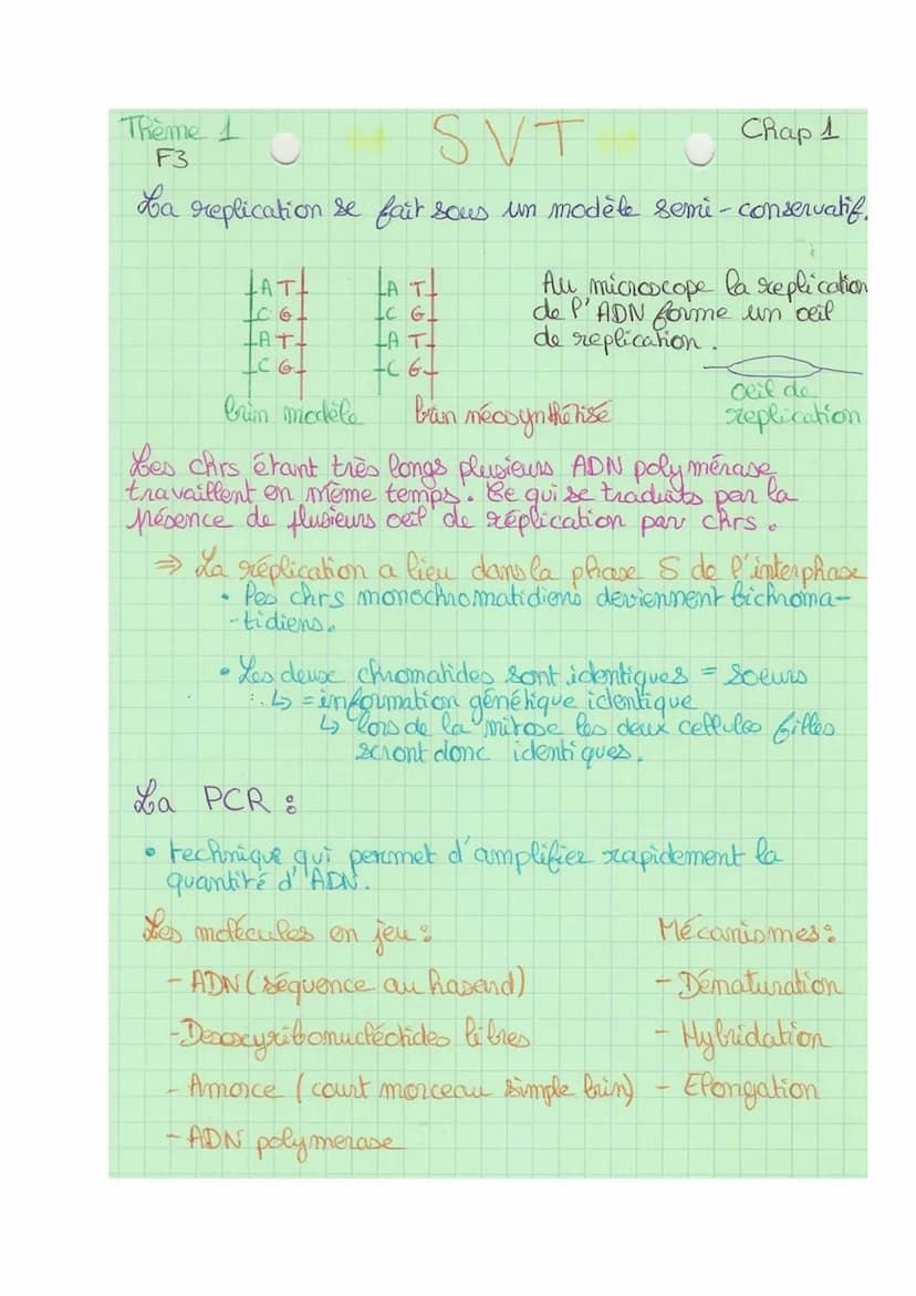 Theme 1
FA
SVT
Def& division cellulaire précédée de la réplication de l'ADN,
conduisant à partir d'une ceflute mère, au partage de
l'informa