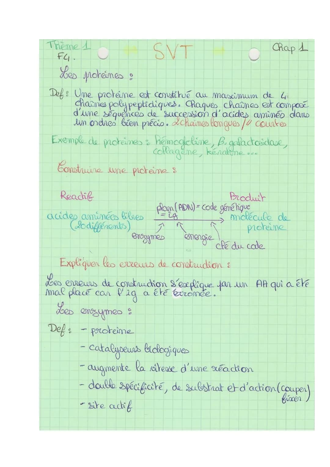 Theme 1
FA
SVT
Def& division cellulaire précédée de la réplication de l'ADN,
conduisant à partir d'une ceflute mère, au partage de
l'informa
