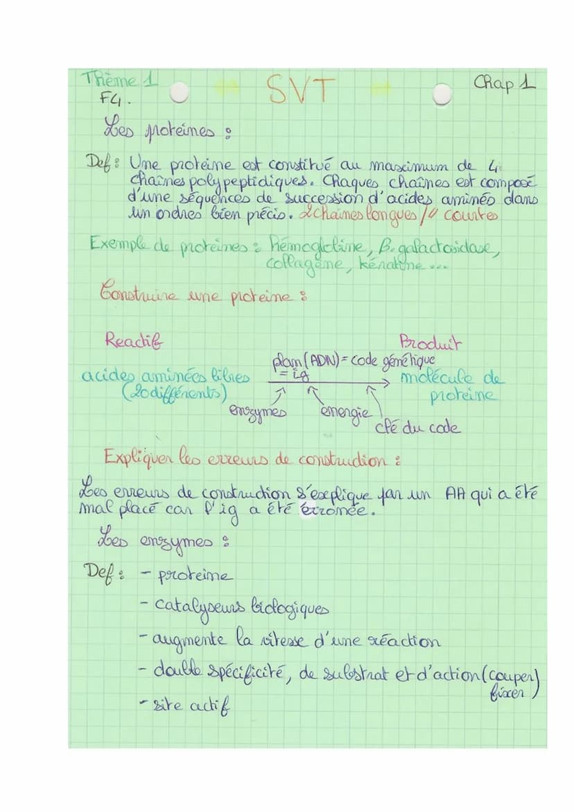 Theme 1
FA
SVT
Def& division cellulaire précédée de la réplication de l'ADN,
conduisant à partir d'une ceflute mère, au partage de
l'informa